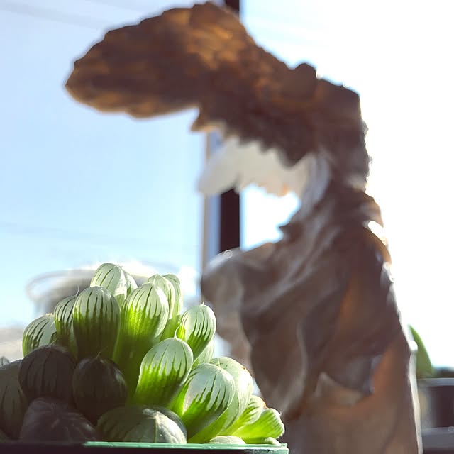masu...さんの実例写真