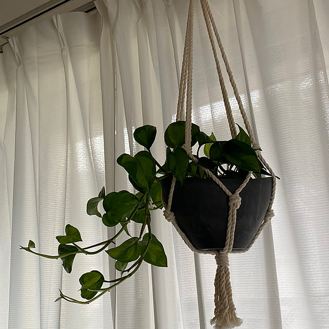 zuccoさんの部屋