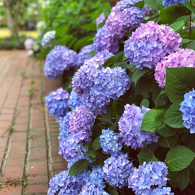 150091253さんの実例写真