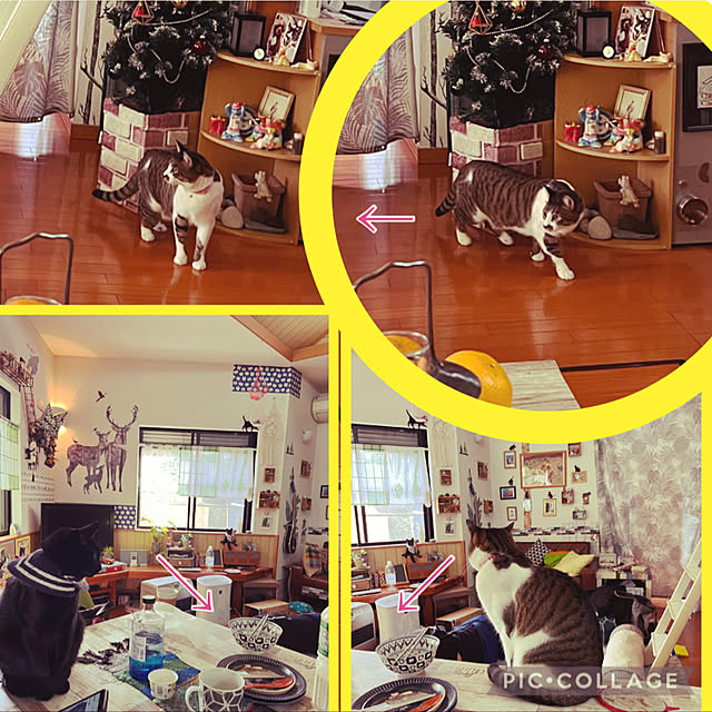 jijiさんの実例写真