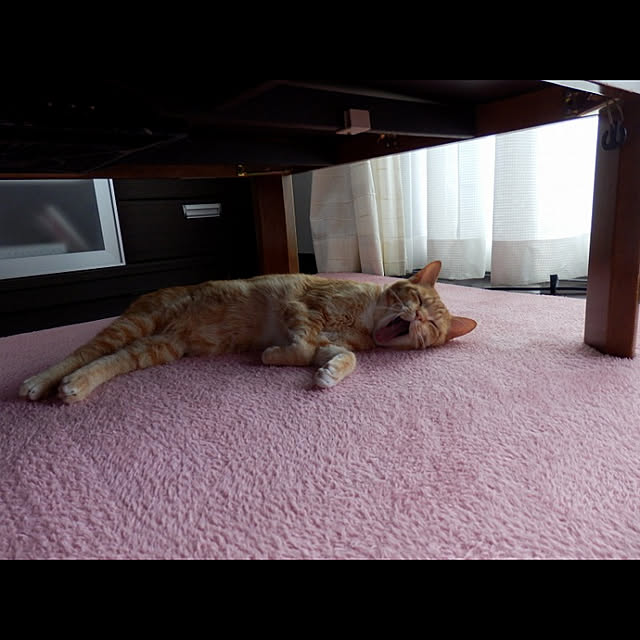 Nanaさんの実例写真