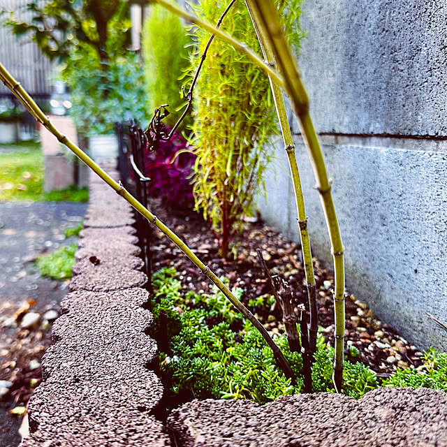 chacoさんの部屋