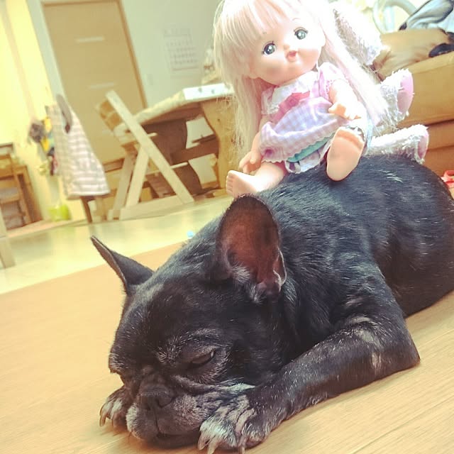 実例写真