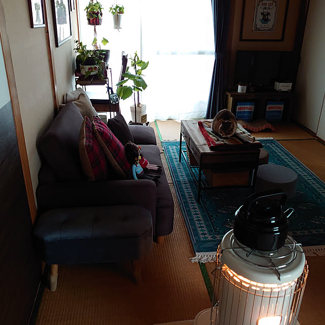 fukuさんの実例写真