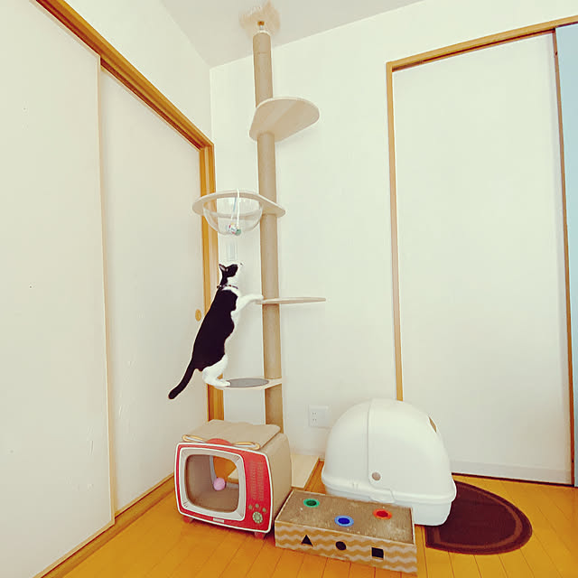 moolさんの実例写真
