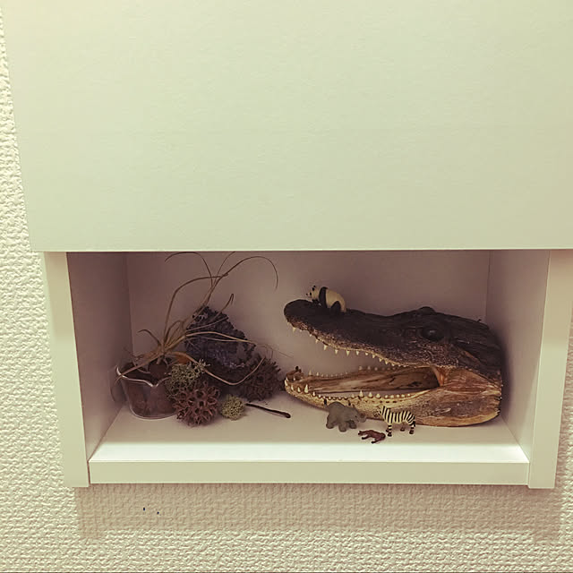 Makiさんの実例写真