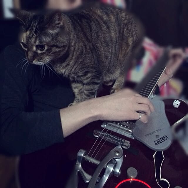 maiさんの実例写真