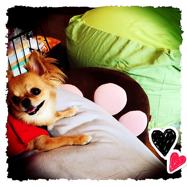 kanaeさんの実例写真