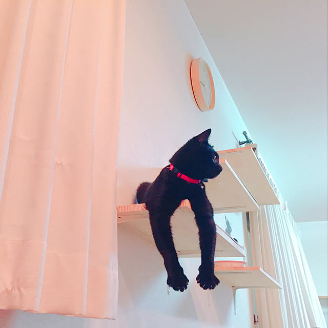 nanaさんの実例写真
