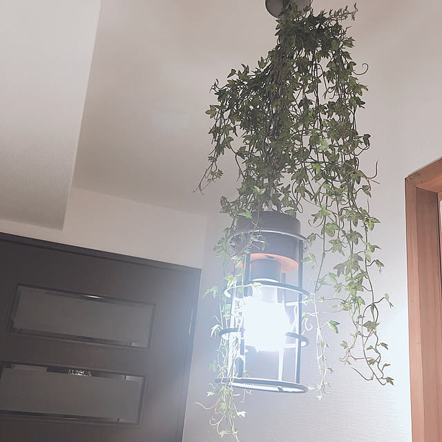gurigura.tさんの実例写真