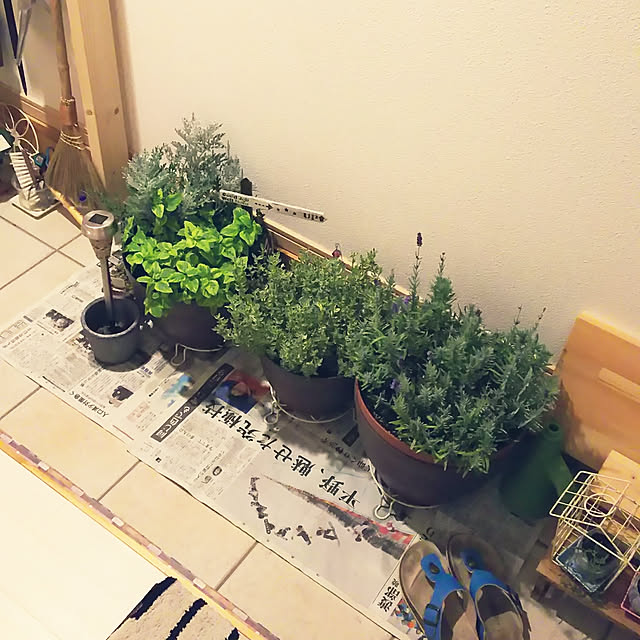 KOHAKUさんの実例写真