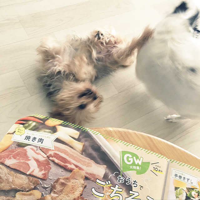 ohanaさんの実例写真
