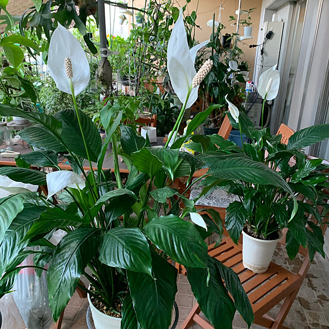 Aqettyさんの部屋