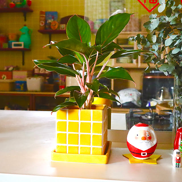 rukakoさんの実例写真