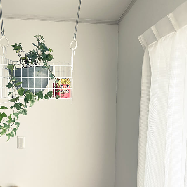 asasouさんの実例写真