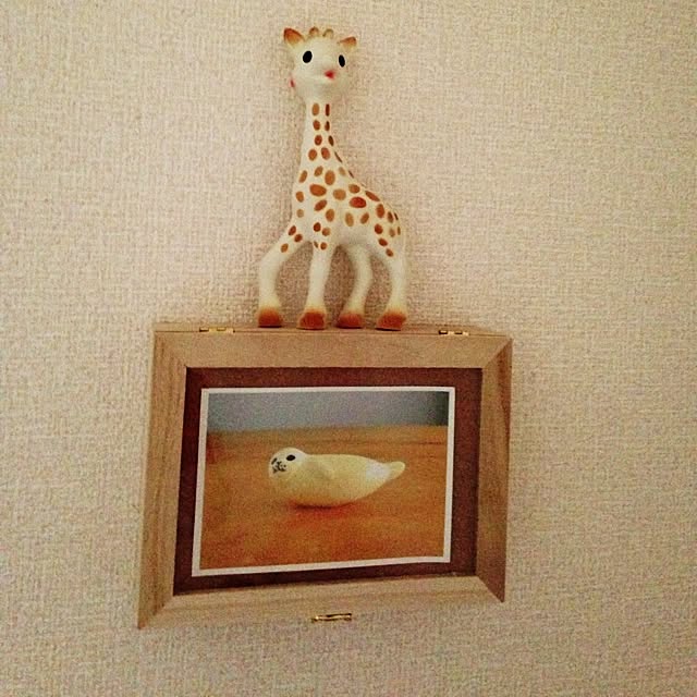 mameさんの実例写真