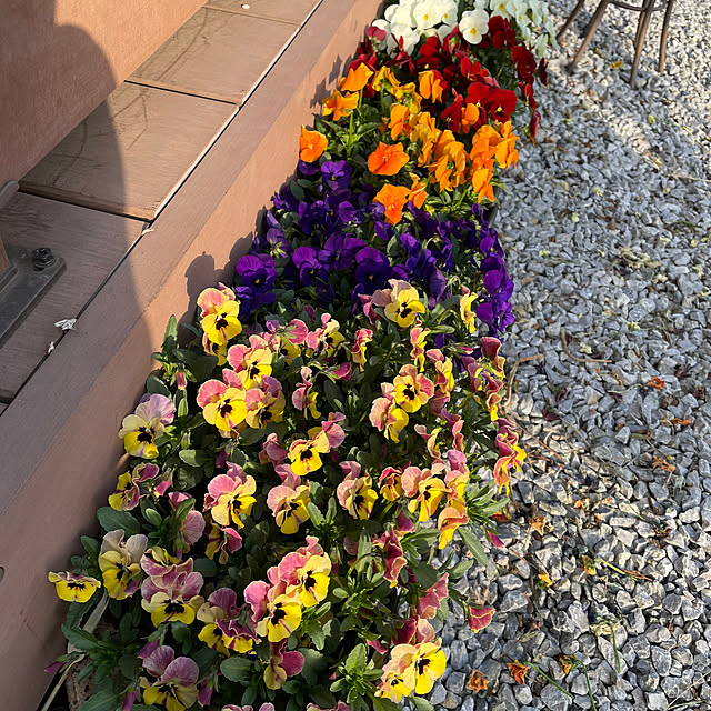 ronronさんの部屋
