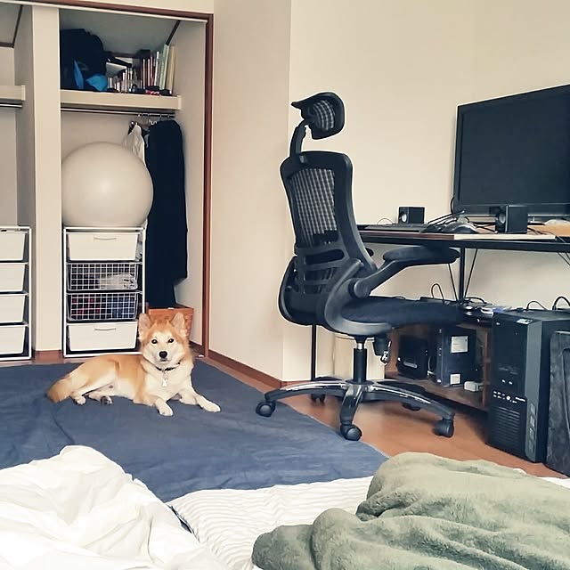 huusukeさんの実例写真
