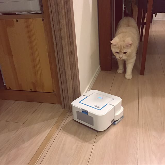 y.k.0123さんの実例写真
