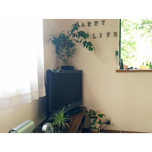 L.さんの実例写真