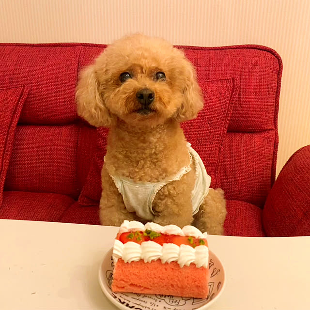 HappyRoseさんの部屋