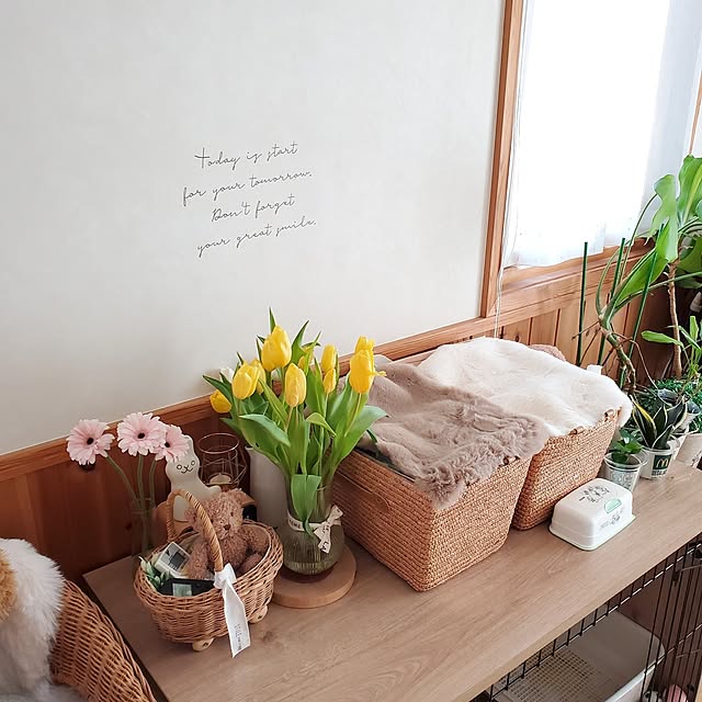 Blancheさんの部屋
