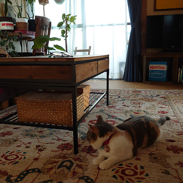 fukuさんの実例写真