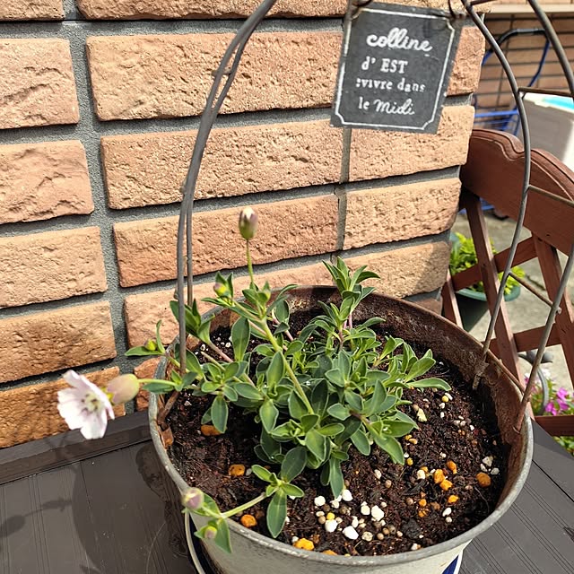 kiraさんの部屋