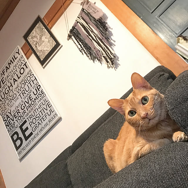 10ri5100さんの実例写真