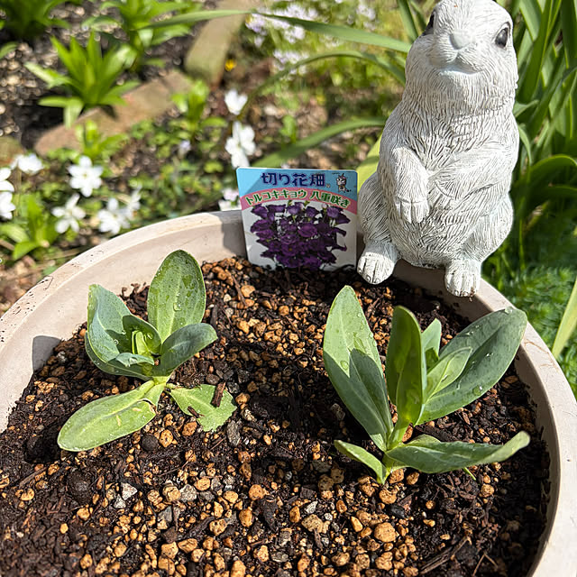 ritsukoさんの部屋