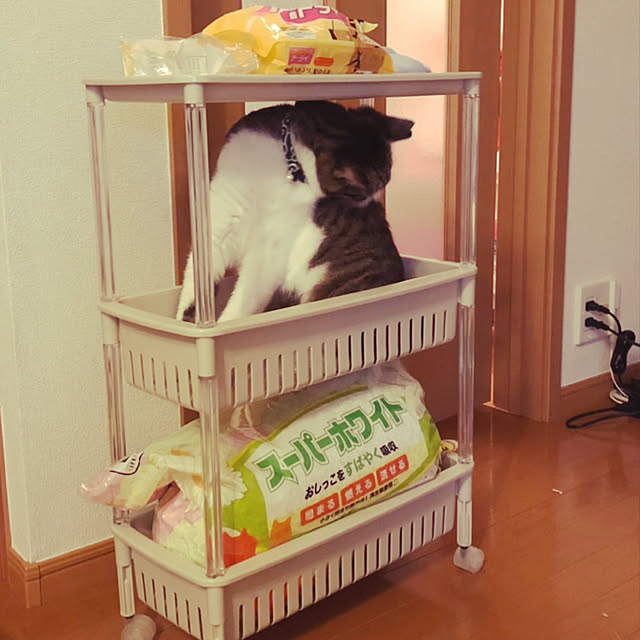miichanさんの実例写真