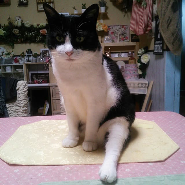 tomopさんの実例写真
