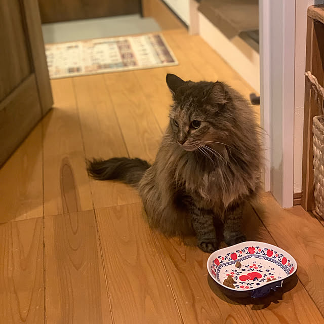 masakoさんの実例写真