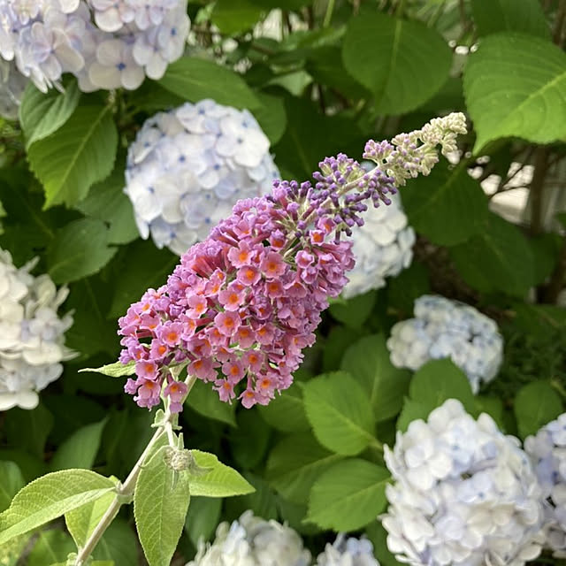 min_nimさんの実例写真