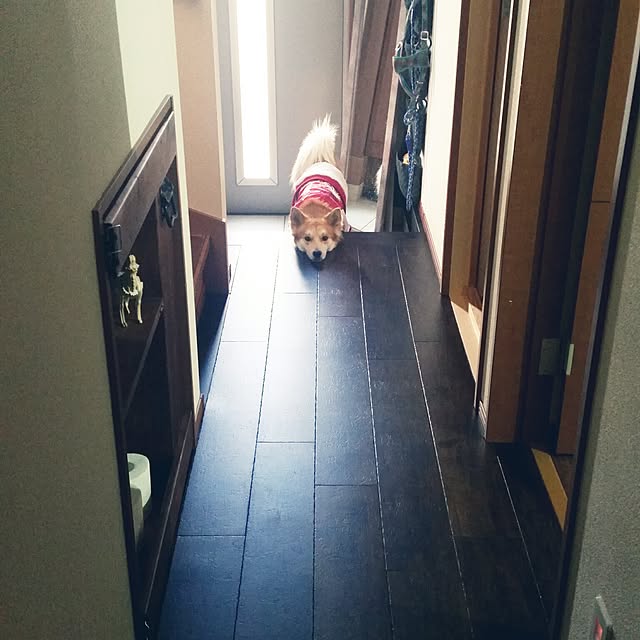huusukeさんの実例写真