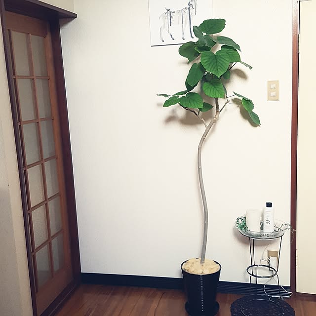 rhuさんの実例写真