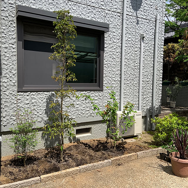 cocoさんの部屋