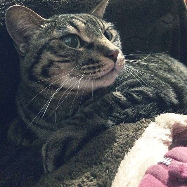 maiさんの実例写真