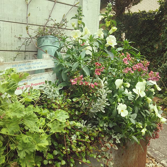 73さんの実例写真