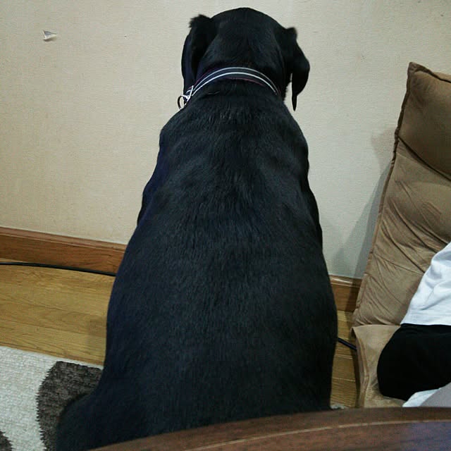 ohisamaさんの実例写真