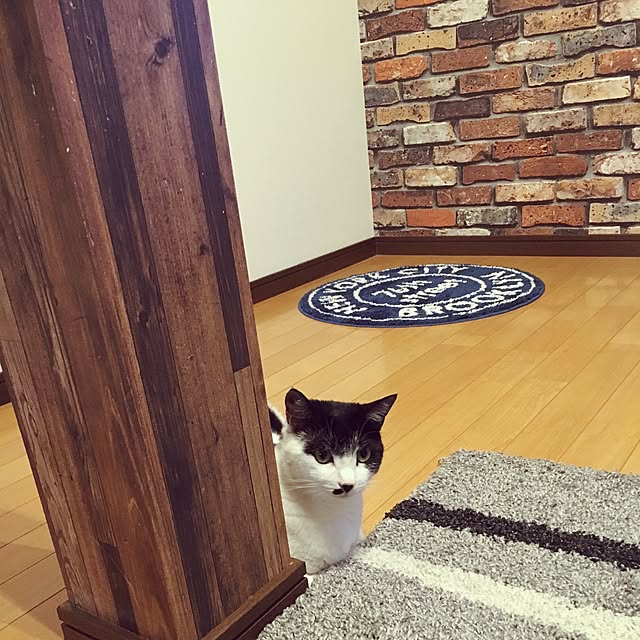 Azukimameさんの実例写真