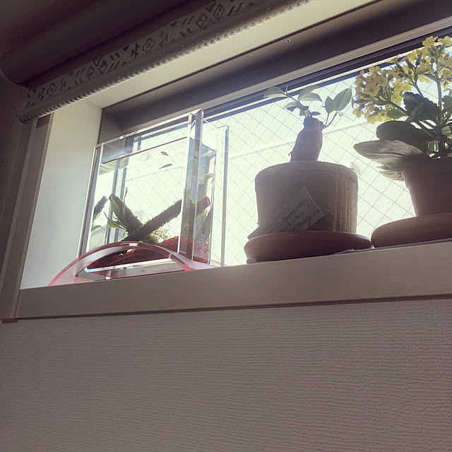 meg214さんの実例写真