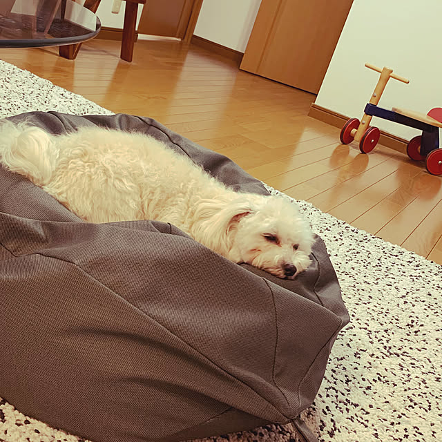 kururiさんの実例写真