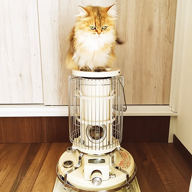 locomocobambiさんの実例写真