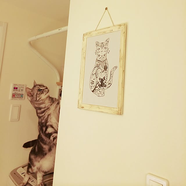 mikomaruさんの実例写真