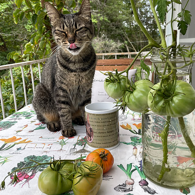 weさんの実例写真
