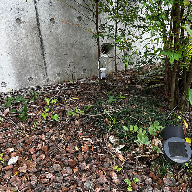 shizuponさんの部屋