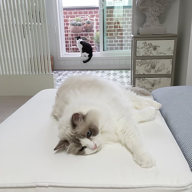 yuchiさんの実例写真