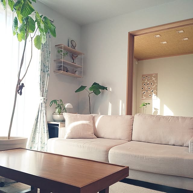 tan5さんの実例写真