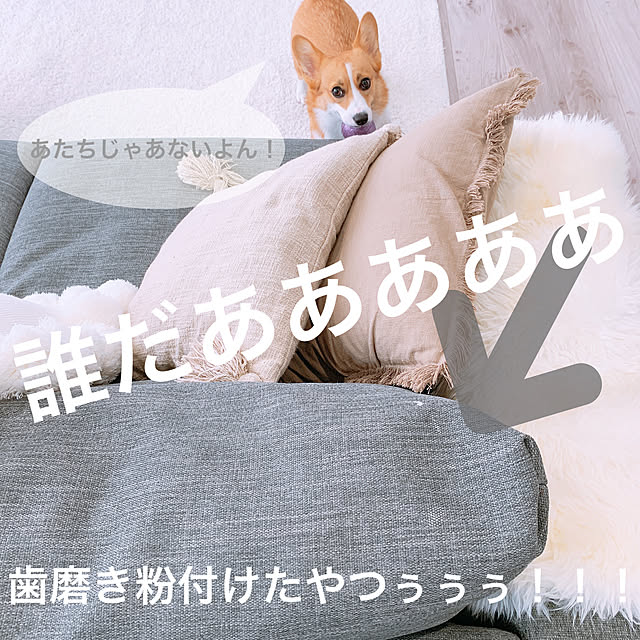3ayuさんの実例写真